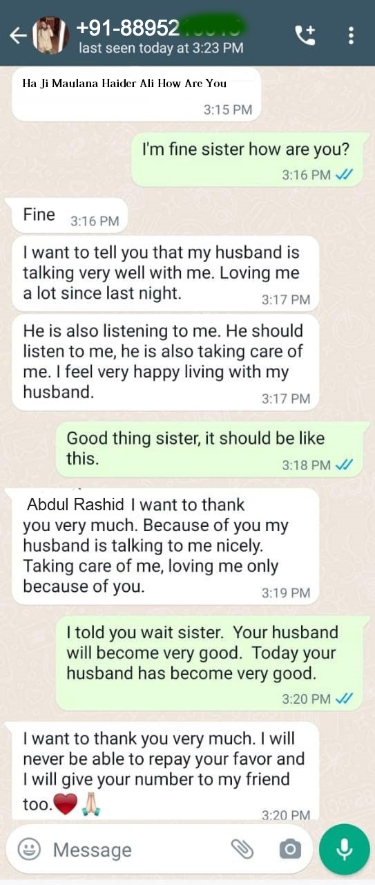World Famous Astrologer Maulana Haider Ali +91-8955553043